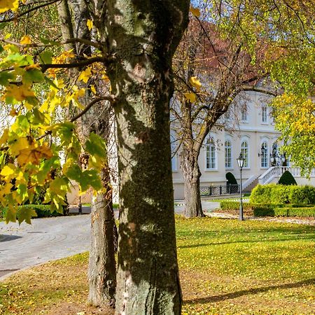La Contessa Castle Hotel Сильвашварад Экстерьер фото