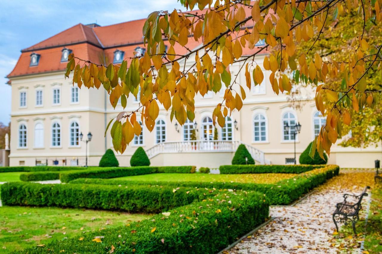 La Contessa Castle Hotel Сильвашварад Экстерьер фото