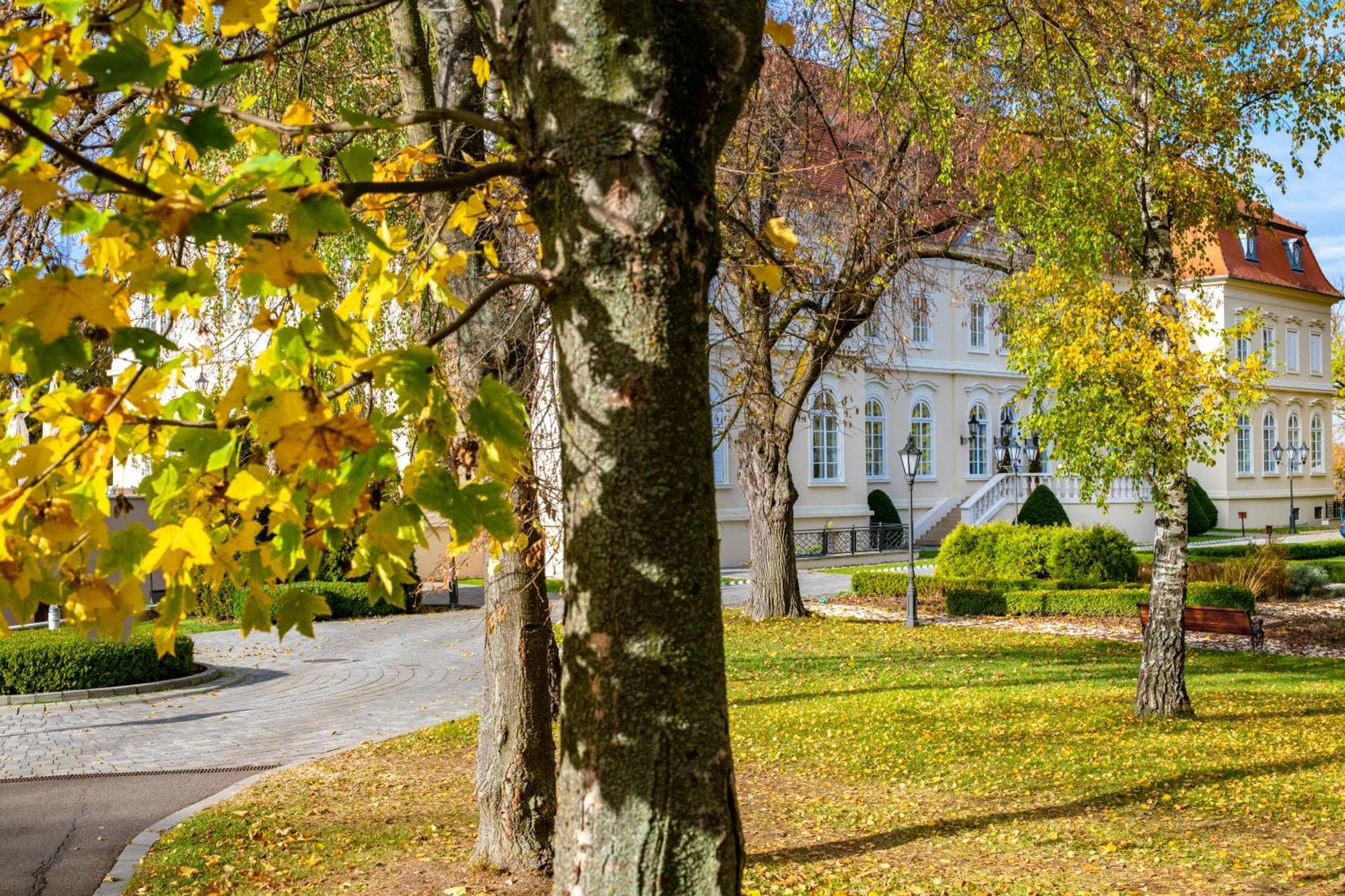 La Contessa Castle Hotel Сильвашварад Экстерьер фото